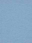 Fond papier Bleu Clair rouleau 2.72 x11m BD02L272 