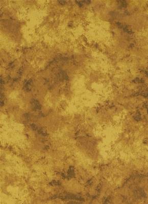 Fond toile ocre jaune marron nuageux IFD590 2.90m x 6m