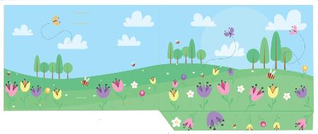 Groupe PAYSAGE  20x30 18x24 / 18x27  avec rabat colis de 250