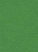 Fond papier Chromakey vert rouleau  2.72 x 11m BD54 en promo 2 achetés 1 offert