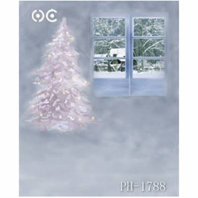 Fond Noel ordinateur 2x3m CFD XMAS 1788