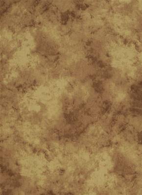 Fond toile marron clair ocre nuageux IFD530 2.90m x 6m