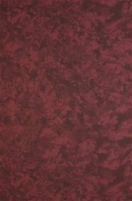 Fond toile marron rougé IFD212   2.90m x 6m