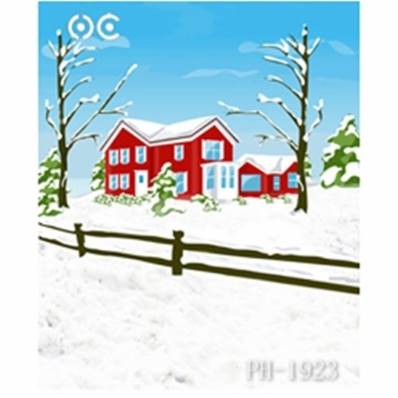 Fond Noel ordinateur 2x3m CFD INF XMAS 1923