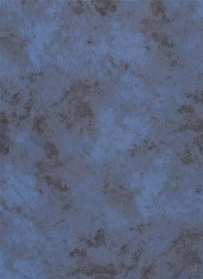Fond toile bleu ciel/marine nuageux IDF510 2.90m x 6m
