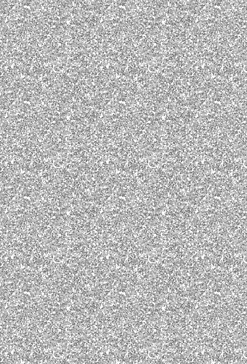 Fond décor ordinateur 2x3m CFD INF18 CONFET GRI